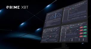 Pocket Option vs PrimeXBT A Comprehensive Comparison 1428546516